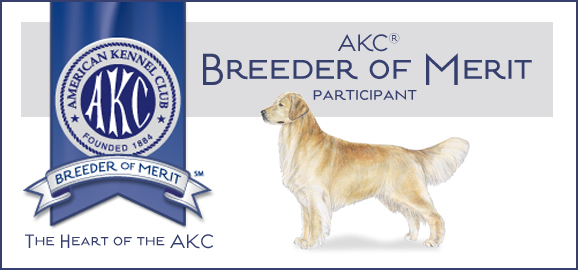 AKC Breeder of Merit Participant