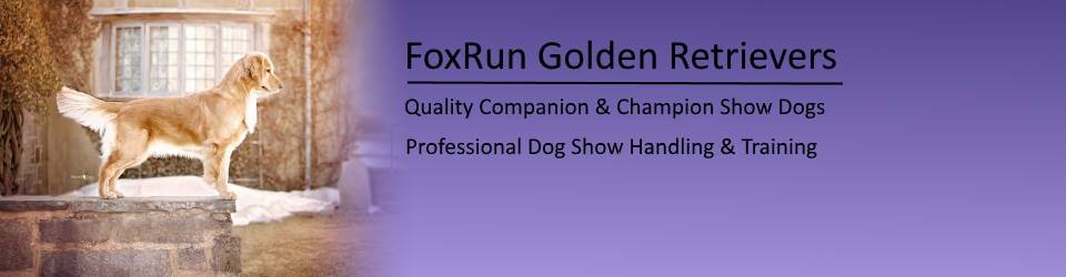 FoxRun Goldens