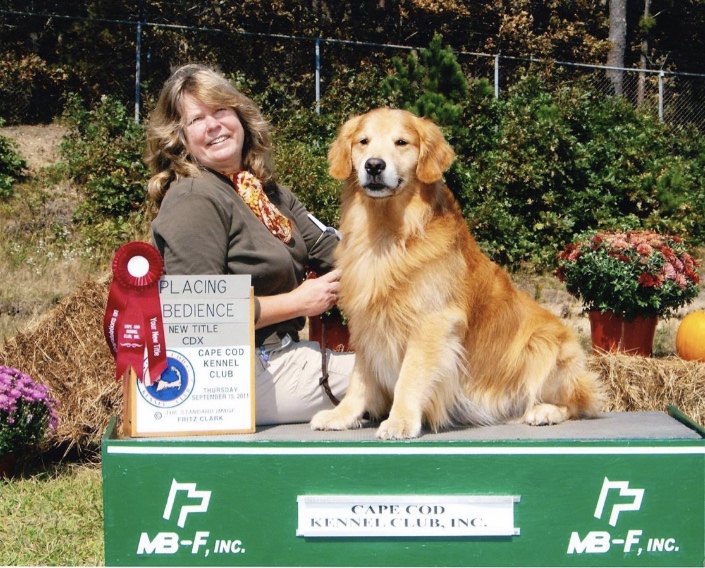 Fox shops run golden retrievers